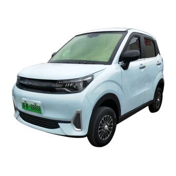 电动汽车 新能源电动轿车老年代步车新能源汽车 自发电电动汽车