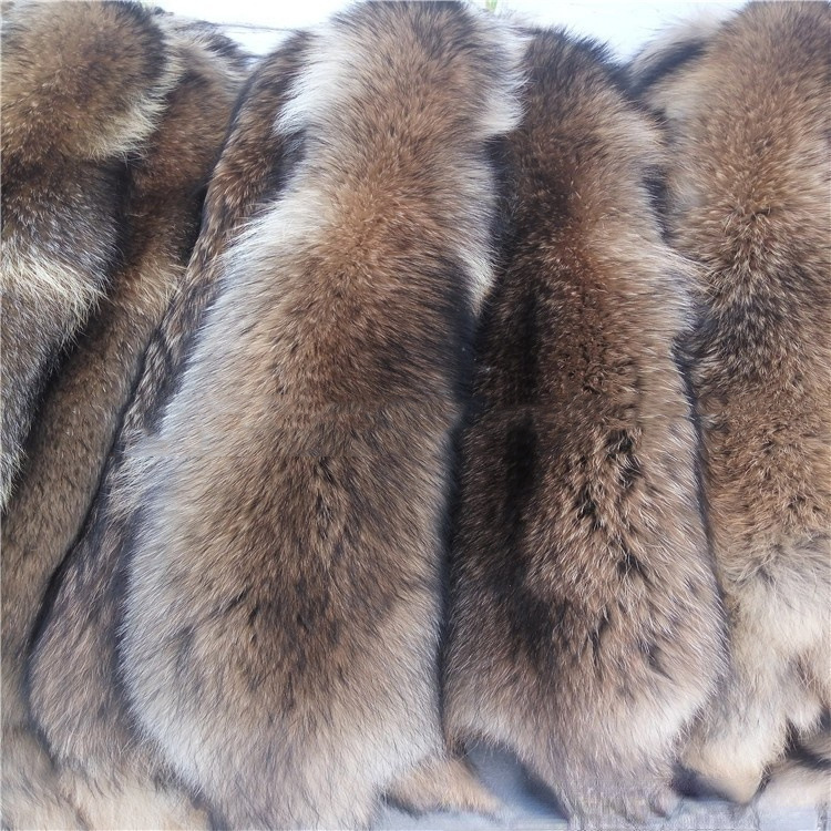 批发 大营浣熊貉子皮狐狸皮毛领毛条帽条帽领服装原料辅料手工diy