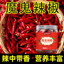 印度魔鬼辣椒特辣香辣特级火锅卤菜源头工厂批发一件代发