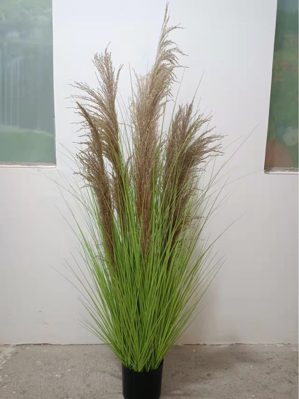 热销仿真绿植 九头/七头真芦苇盆景盆栽 洋葱草