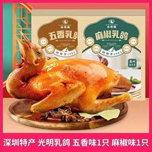 光明乳鸽正宗广东深圳手信特产脆皮乳鸽加热即食真空送礼五香乳鸽