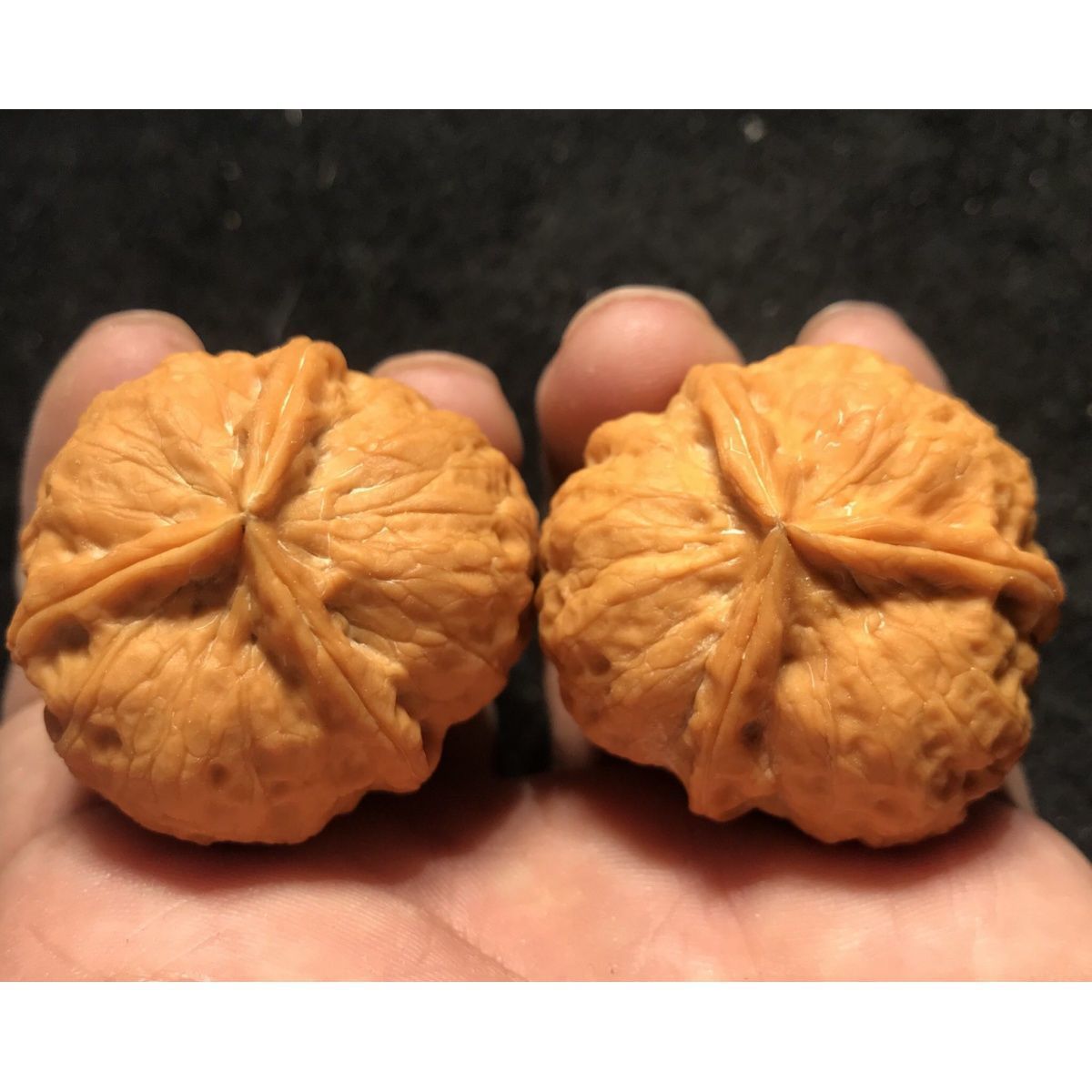 文玩核桃三棱野生异型蛤蟆头金蟾超大正奔云南铁核桃精品把玩核桃