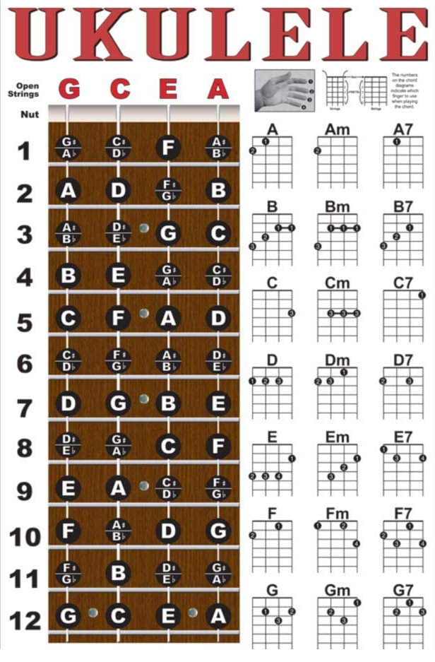 批发吉他和弦练习图 初学者吉他贝斯指法图 尤克里里和弦表