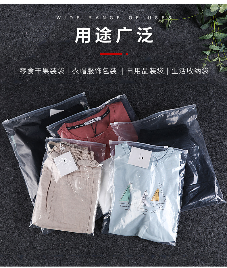 展望“十五五” 郑州市发布“十五五”规划建议：实施“强园、强企、强质”三大行动