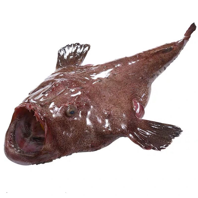 鮟鱇鱼肝胆固醇图片