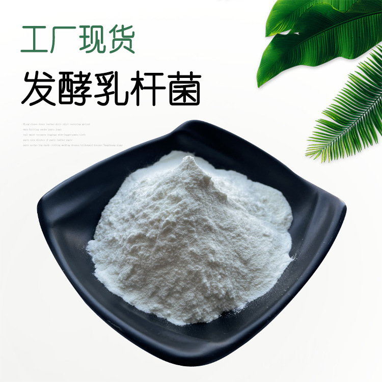 发酵乳杆菌 100亿cfu/g 发酵乳酸菌 益生菌粉 发