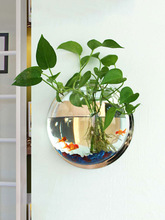 。壁挂水培创意绿萝绿植花盆挂壁挂墙圆形装饰器皿贴墙花瓶大号简约
