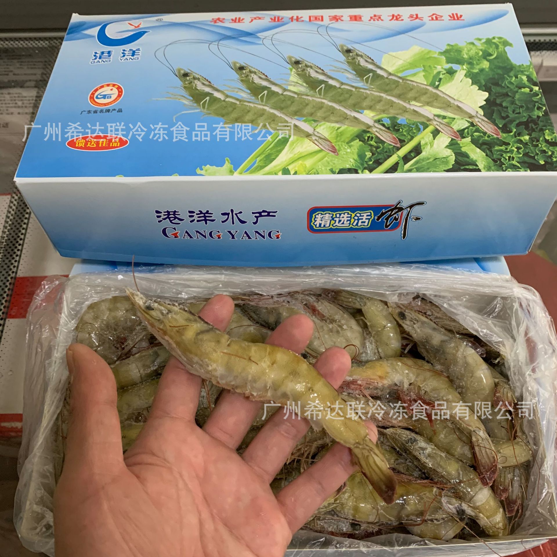6斤 连头整只白虾 生冻虾冷冻白虾