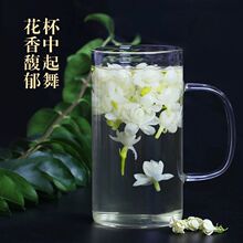 茉莉花茶 新花蕾花苞茶 茉莉花干花朵泡茶孕妇广西清香型顺产批发