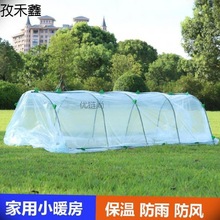 拱棚挡风户外小型种植花房冬天型菜地家庭家用大棚温室小花棚