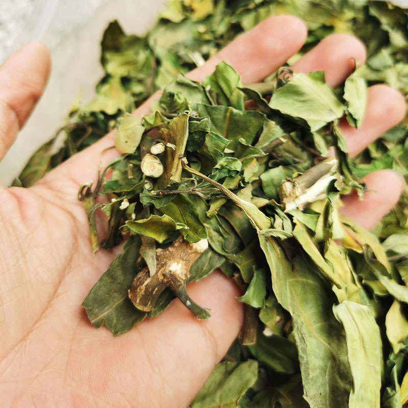 小驳骨草中草药材 小接骨 驳骨丹