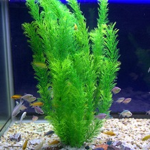 鱼缸装饰仿真水水族造景假水装饰柔软水花塑料水绿色