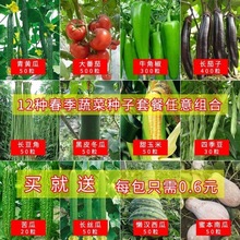 12种春季蔬菜种子套餐丝瓜黄瓜茄子四季豇豆西瓜辣椒番茄农家菜种