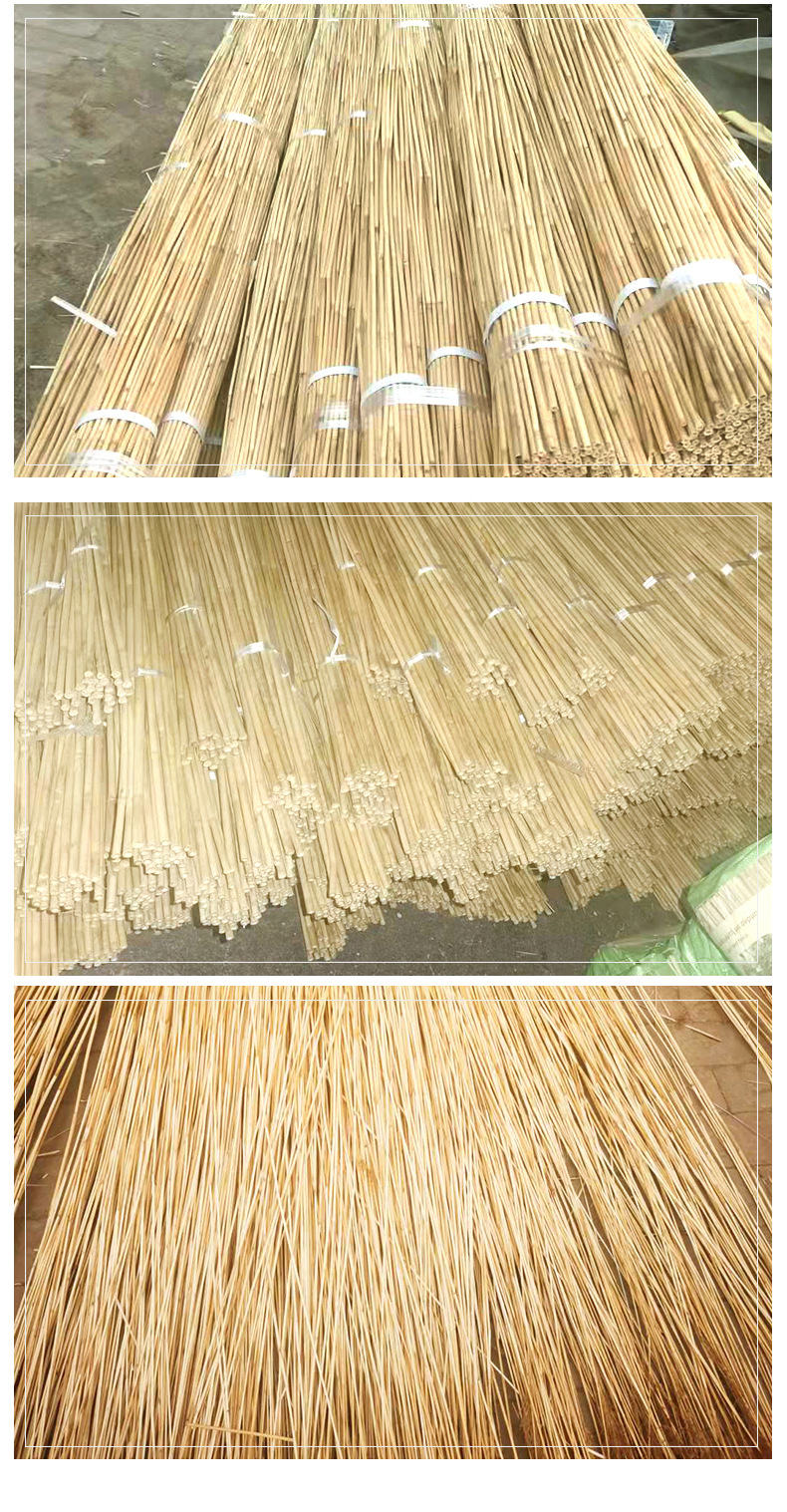 工艺品编织专用苇料 灯饰用芦苇 批发天然芦苇杆芦苇梗去皮芦苇杆