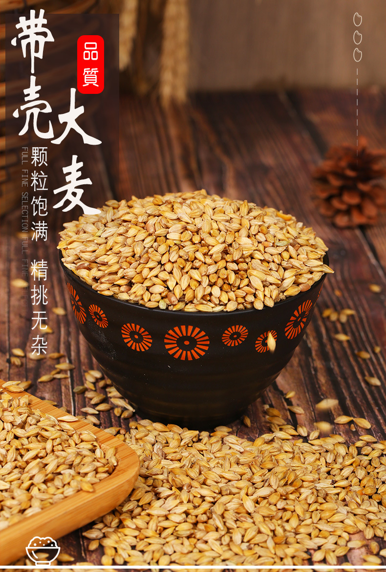 供应带壳大麦饲料 大麦带壳五谷杂粮现货大麦袋装25kg