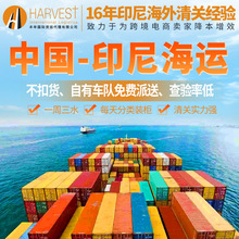 重庆发印尼海运双清包税到门专线价格 印尼快递专线