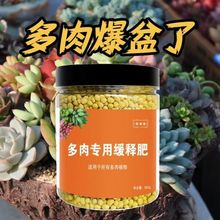 多肉肥料专用肥花肥料通用型肉肉缓释肥肉嘟嘟盆栽家用复合肥液