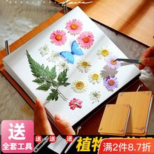 押花器干花压花板工具材料包植物制作相框一件批发