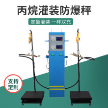 滨州防爆电子灌装秤厂家 丙烷定量灌装秤 柜式双充气体充装秤
