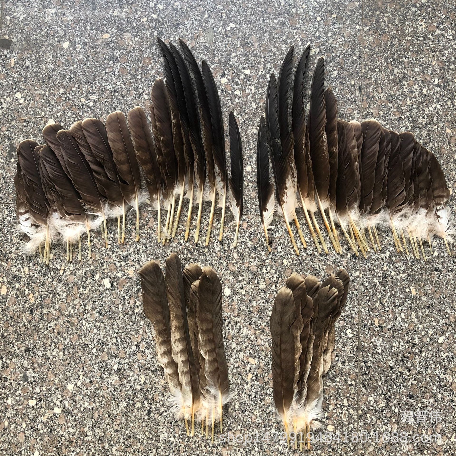 现货羽毛扇翎 鹰羽 雕羽 大鵟鸟羽 秃鹫 灰鹤翅膀羽