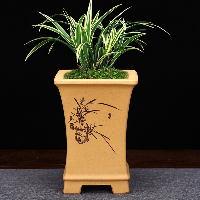 紫砂兰花专用盆段泥陶瓷透气家用桌面绿植花卉盆景花盆手工兰草盆