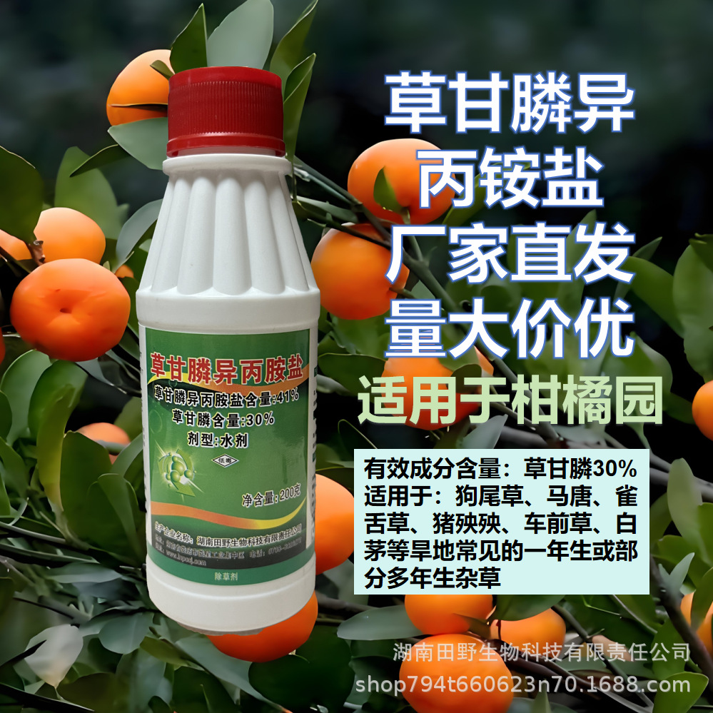 娄农旱爽30%草甘膦异丙铵盐果园柑橘园旱地除草灭生性农药除草剂
