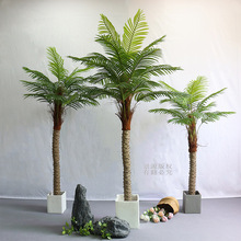 椰子树室内造景热带绿植假椰树大型盆栽装饰酒店落地假棕榈树