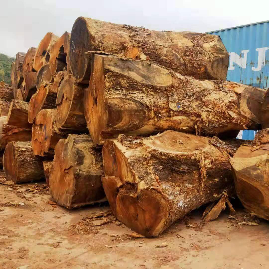 现货供应 琥珀木原木 雨木 南美胡桃木大板材 胡桃木 家具板材