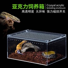 爬宠饲养盒亚克力乌龟皮Reptizoo蜗牛现货守宫蚕宝宝昆虫蜥蜴