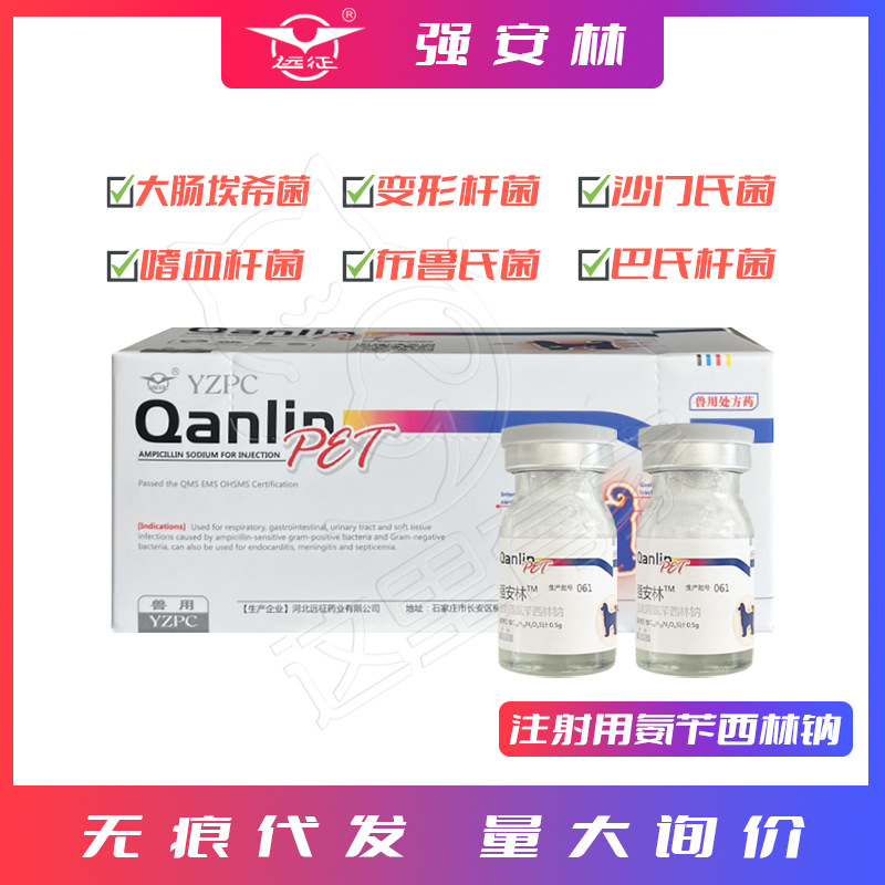远征强安林氨苄西林钠宠物消炎药针剂猫狗感冒细菌感染兽用抗生素