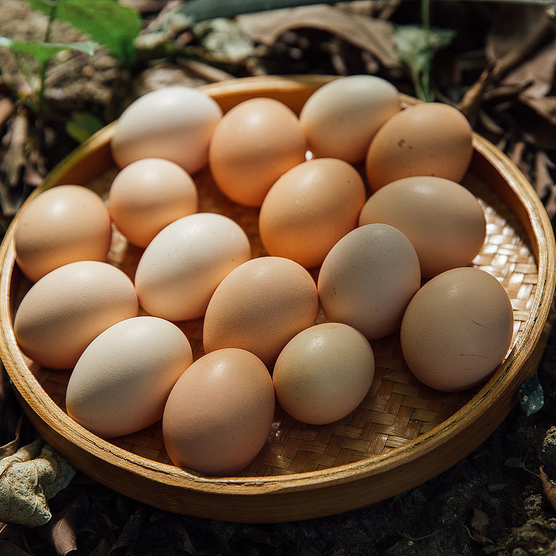 鸡蛋批发散养土鸡蛋新鲜农家土鸡蛋柴鸡蛋初生蛋鸡蛋一整箱速卖通