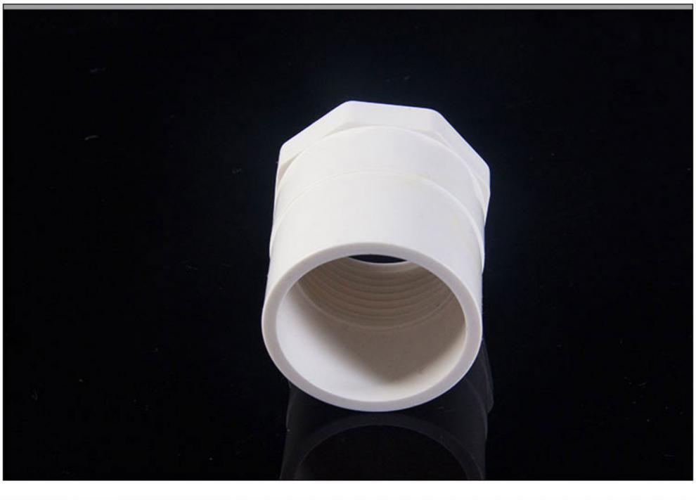 pvc内丝直接直通接头水龙头活接给水管件配件4分6分 20 25 32 50