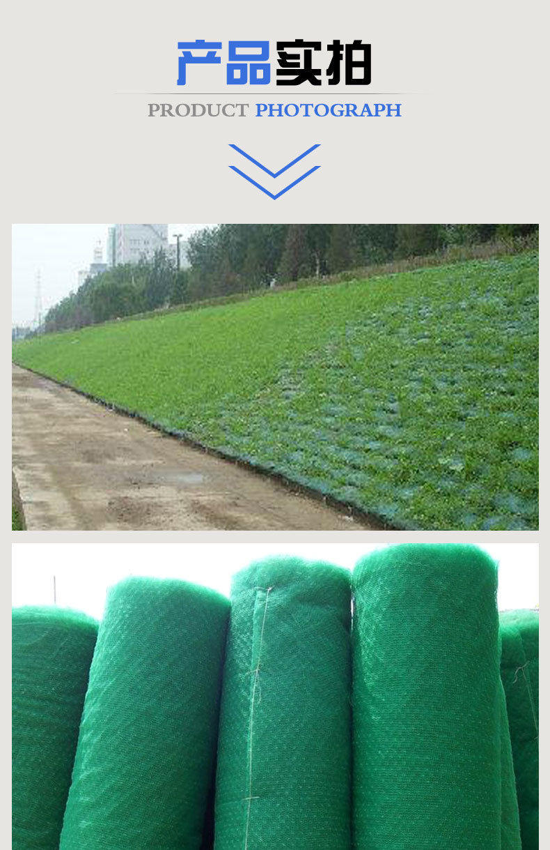 护坡绿化喷播植草三维土工网垫河道园林绿化植草固土 三维植被网