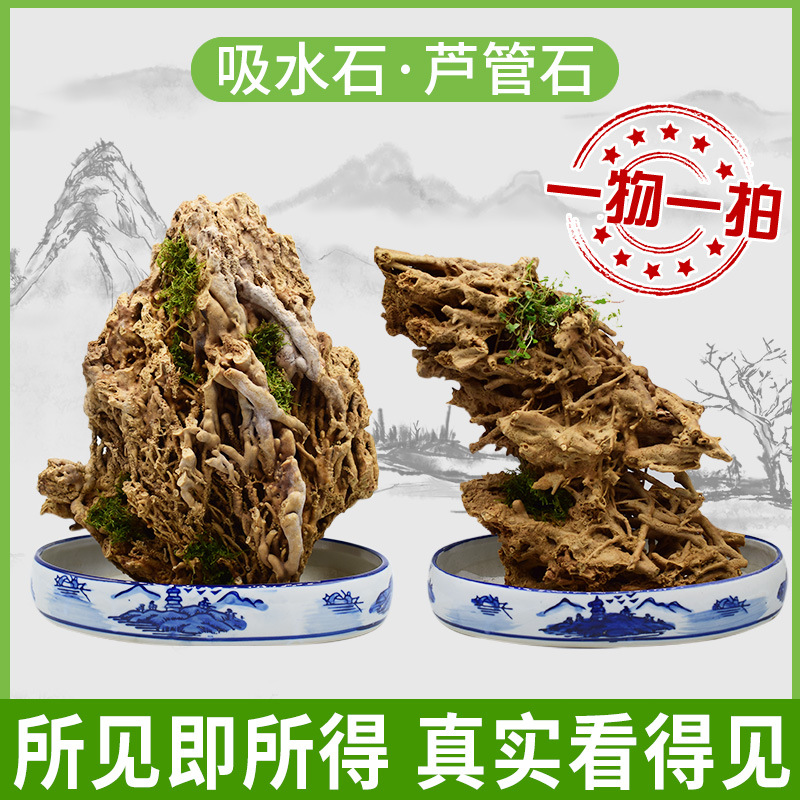 天然风景石上水石吸水石假山盆景观赏鱼缸造景客厅天然原石