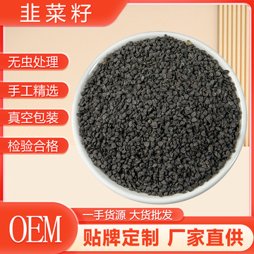 精选农家精选韭菜籽袋装1kg 颗粒饱满秋季色纯正精挑选量大批发