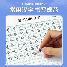 练字小学学生成人控初学硬笔字训练书法笔初学者练成笔3000汉字学