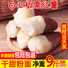 白心板栗薯10斤粉面红薯农家新鲜自种白薯山芋蜜薯西瓜红香薯地瓜