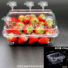 一次性盒子加厚透明水果盒果蔬食品保鲜盒果切打包盒西瓜草莓盒