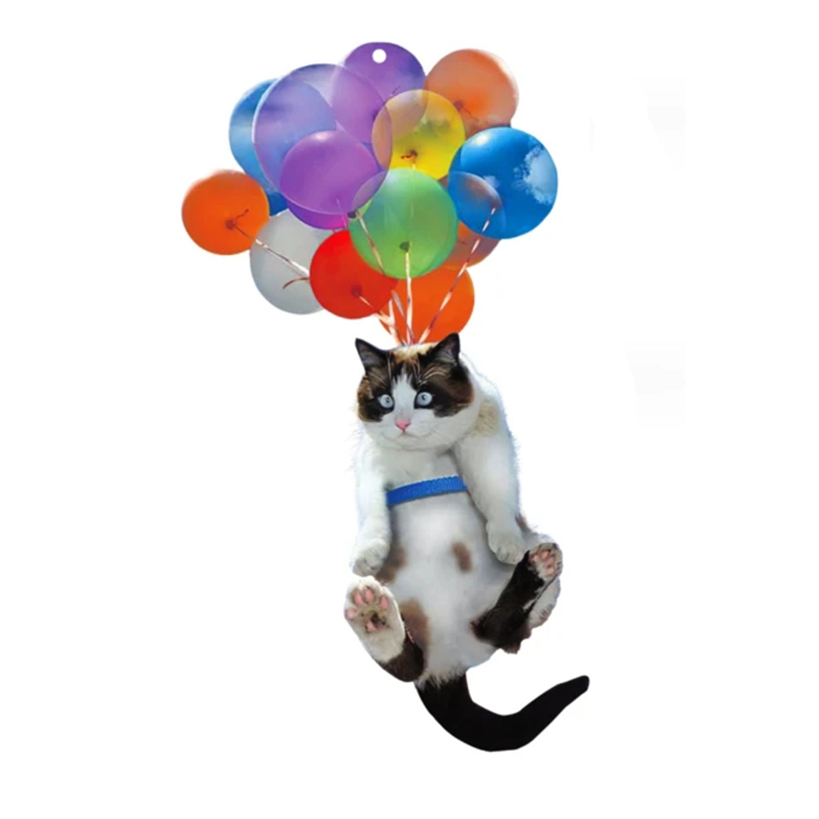 气球做简单小猫图片