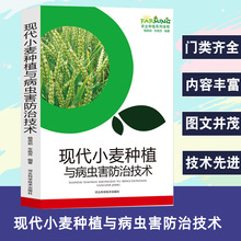 现代小麦种植与病虫害技术农业种植系列读物标准化生产品质选择播