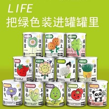 网红祝福盆栽绿植番茄种子罐头植物桌面创意礼品小花农厂家批发