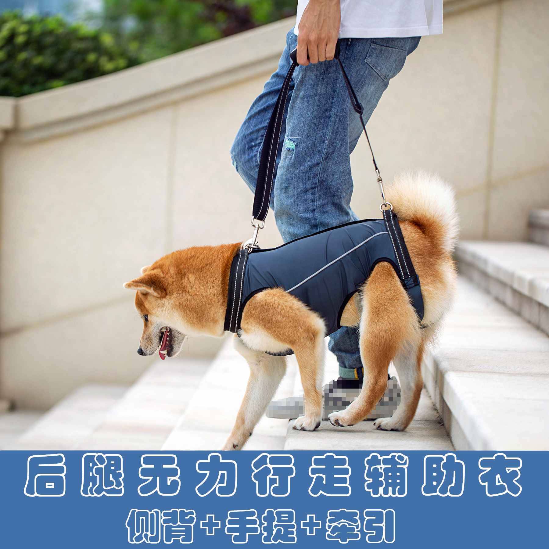 宠物辅助服高龄残疾犬行走障碍辅助带老狗后腿无力辅助带厂家直销