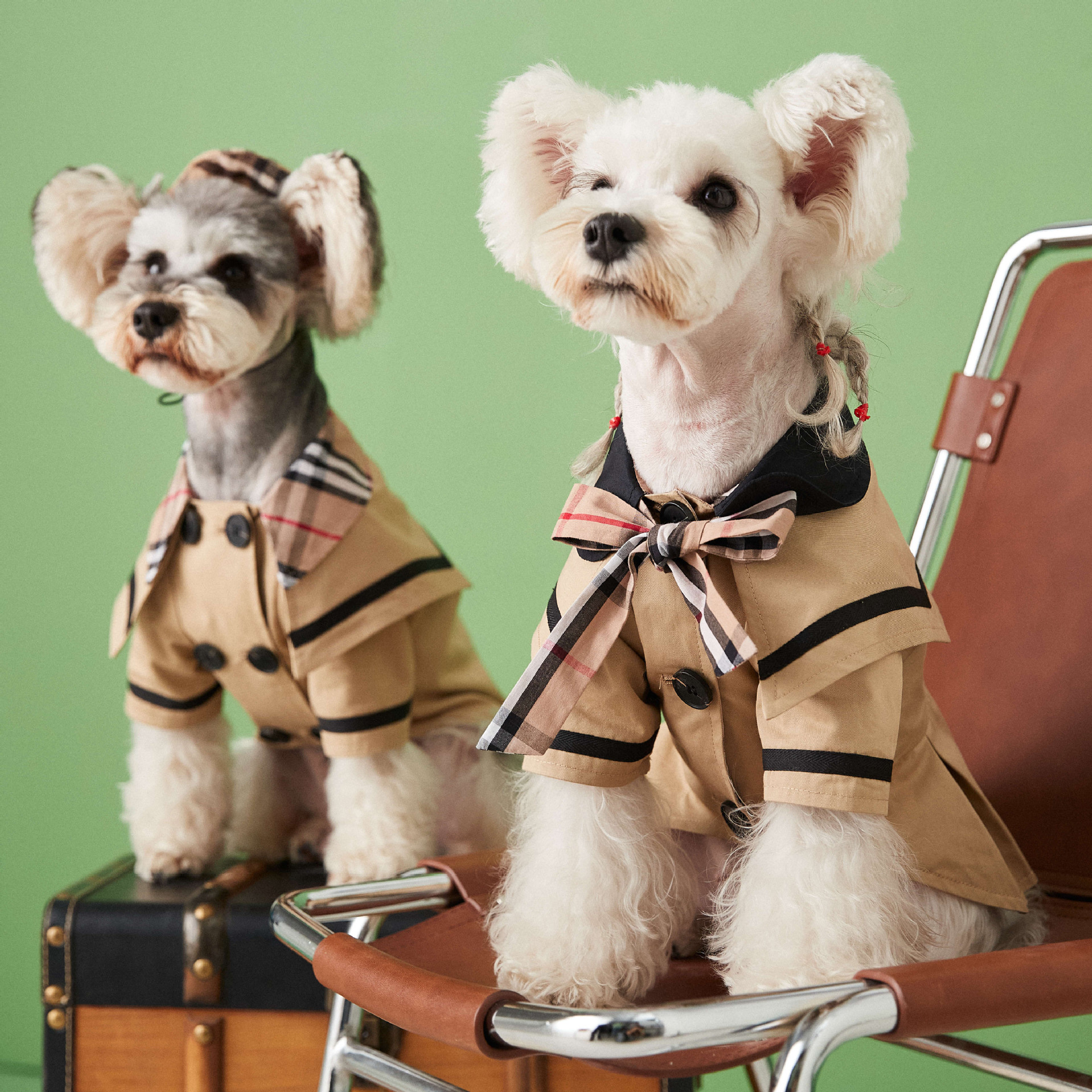 狗狗衣服春秋款韩版可爱裙子泰迪雪纳瑞比熊法斗宠物卡其风衣外套