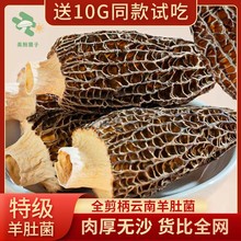 Zqv云南羊肚菌特级干货野生剪柄牛肚菌煲汤新鲜营养滋补家庭汤包