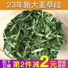 23年新大麦草段兔粮提摩西草龙猫牧草荷兰猪粮苜蓿草干草豚鼠饲料