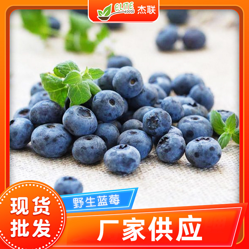 冷冻水果冷冻蓝莓 速冻蓝莓果蔬冷冻蓝莓非兔眼品种冷冻水果蓝莓