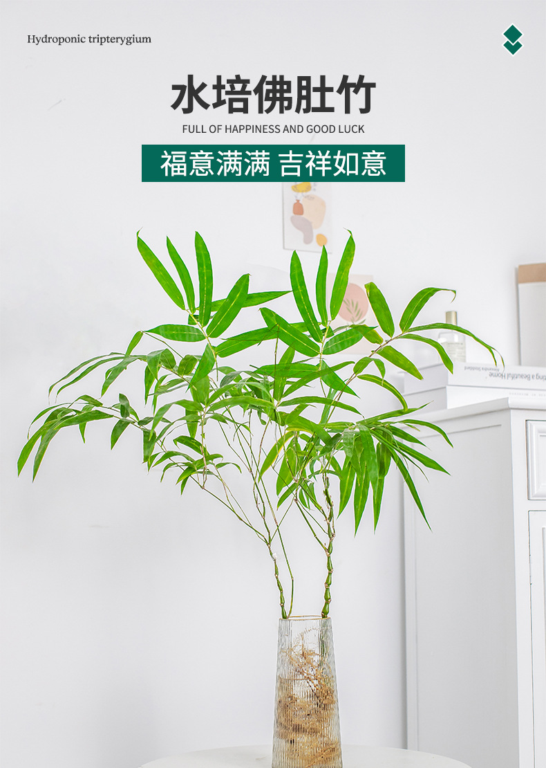 详情图