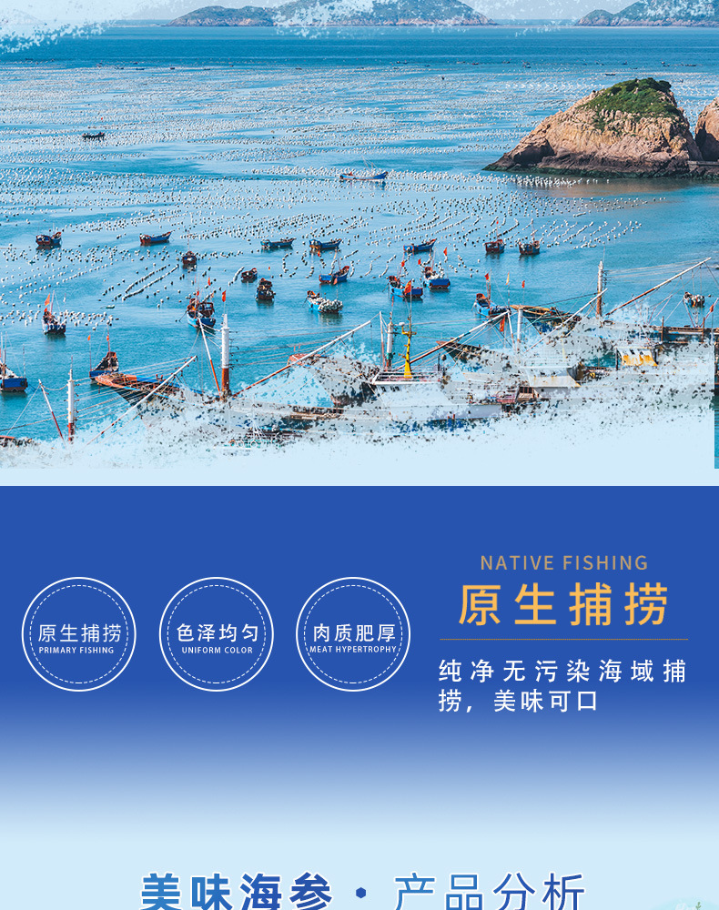 冷压即食海参土耳其有刺米刺参海参鲜活500克礼盒装开袋即食