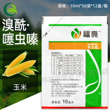 先正达福亮40%溴酰噻虫嗪玉米拌种剂小地老虎蓟马蛴螬粘虫杀虫剂
