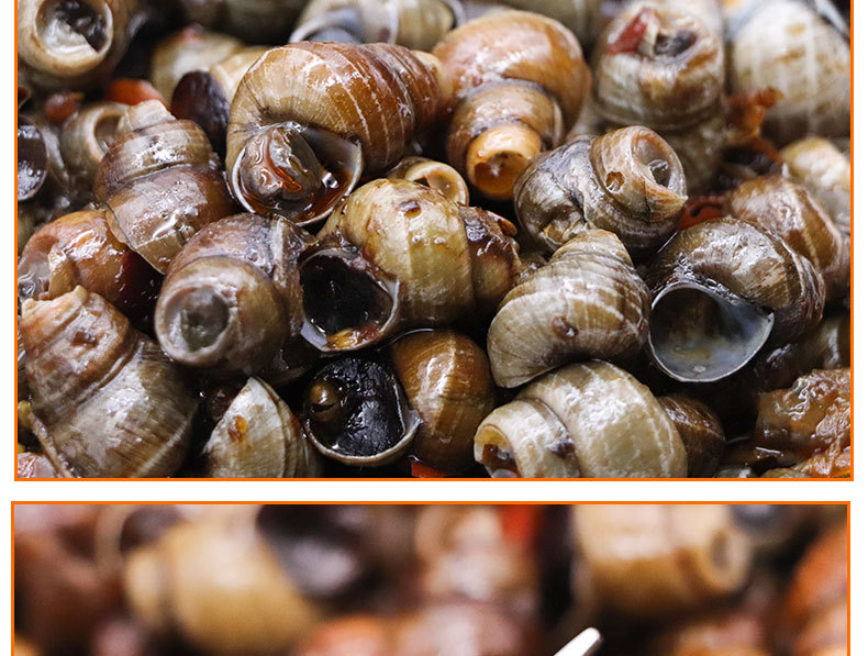 春螺香辣嗦螺新鲜冷冻田螺商用饭店爆炒田螺食材现炒即食550克/包